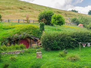 79% of hobbits are underinsured